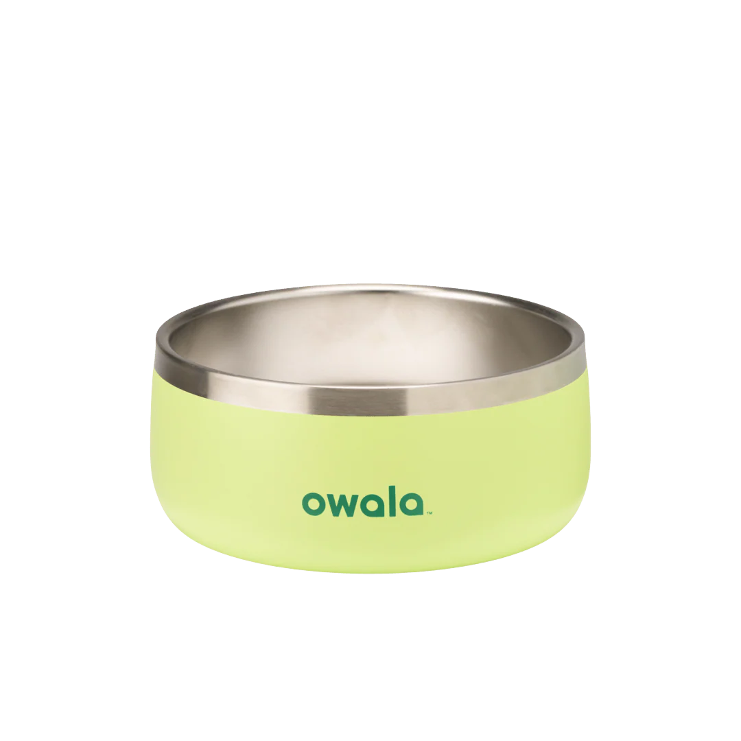Pet Bowl - Sweet Treat - 3 cups